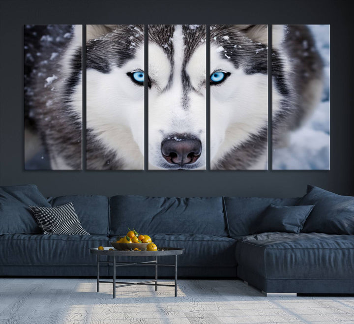 A large framed Winter Siberian Husky Wolf Wall Art Canvas Print, an exquisite piece of animal portrait decor, hangs prominently on the wall.