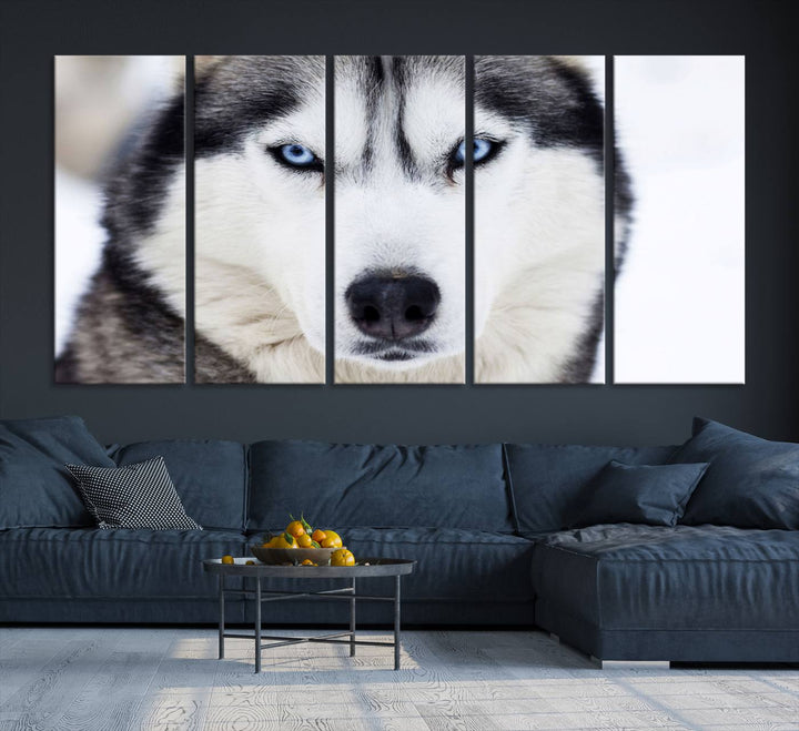 A captivating Winter Siberian Husky Wolf Blue Eyes Wall Art Canvas Print is displayed above.