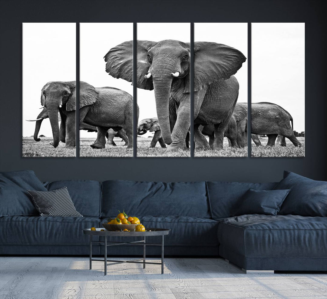 The Black White Elephant Family Wall Art Canvas Print features a triptych of elephants walking in the wild, crafted as gallery-quality wall art on premium canvas.