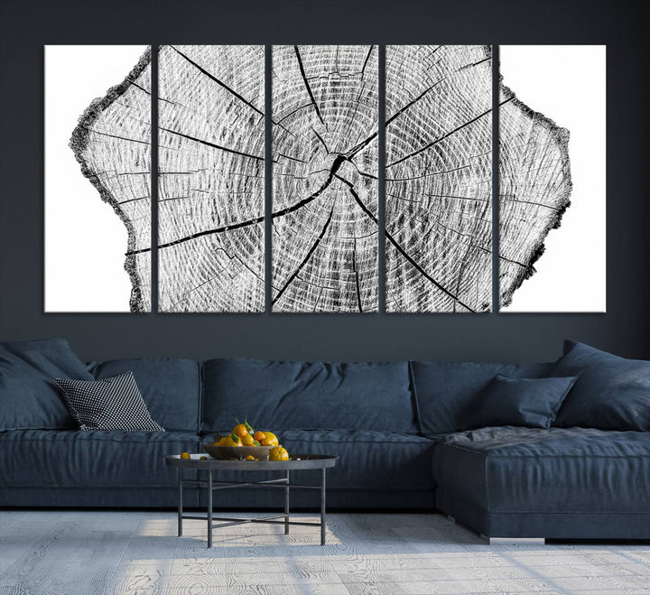 Rustic Tree Ring Wall Art Canvas Print – Framed and Ready to Hang – Perfect for Nature-Inspired and Minimalist Décor 