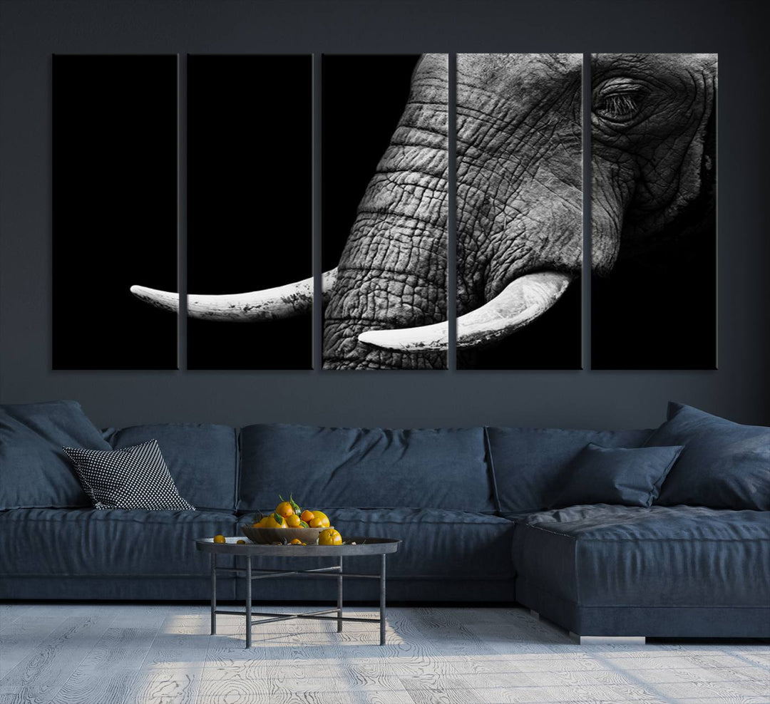 Wall Art Animal Canvas Print Close Taken Elephant with Big Ivories