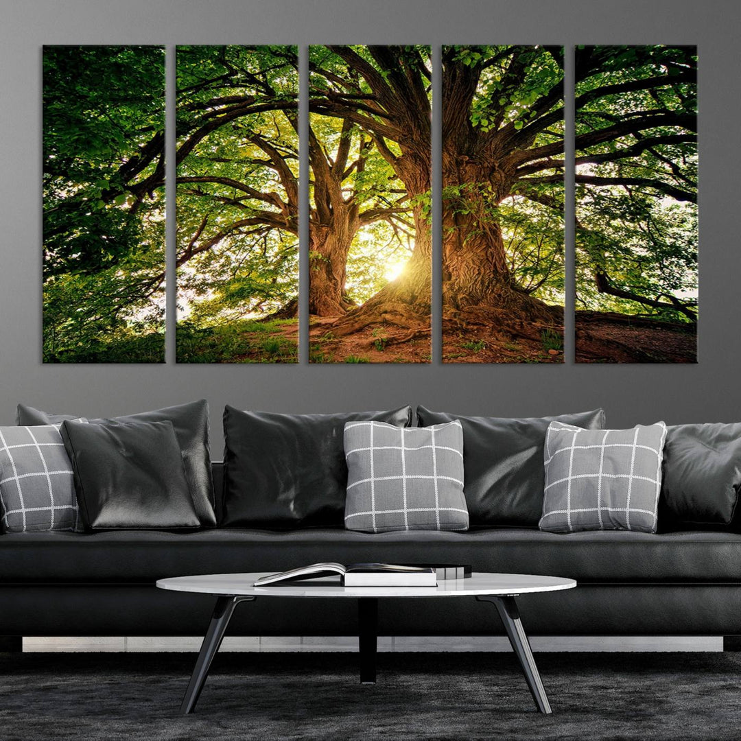 Majestic Ancient Tree Wall Art, Nature-Inspired Canvas Print, Woodland Art, Tree of Life Artwork, Sunlit Forest, Giclee Nature Print