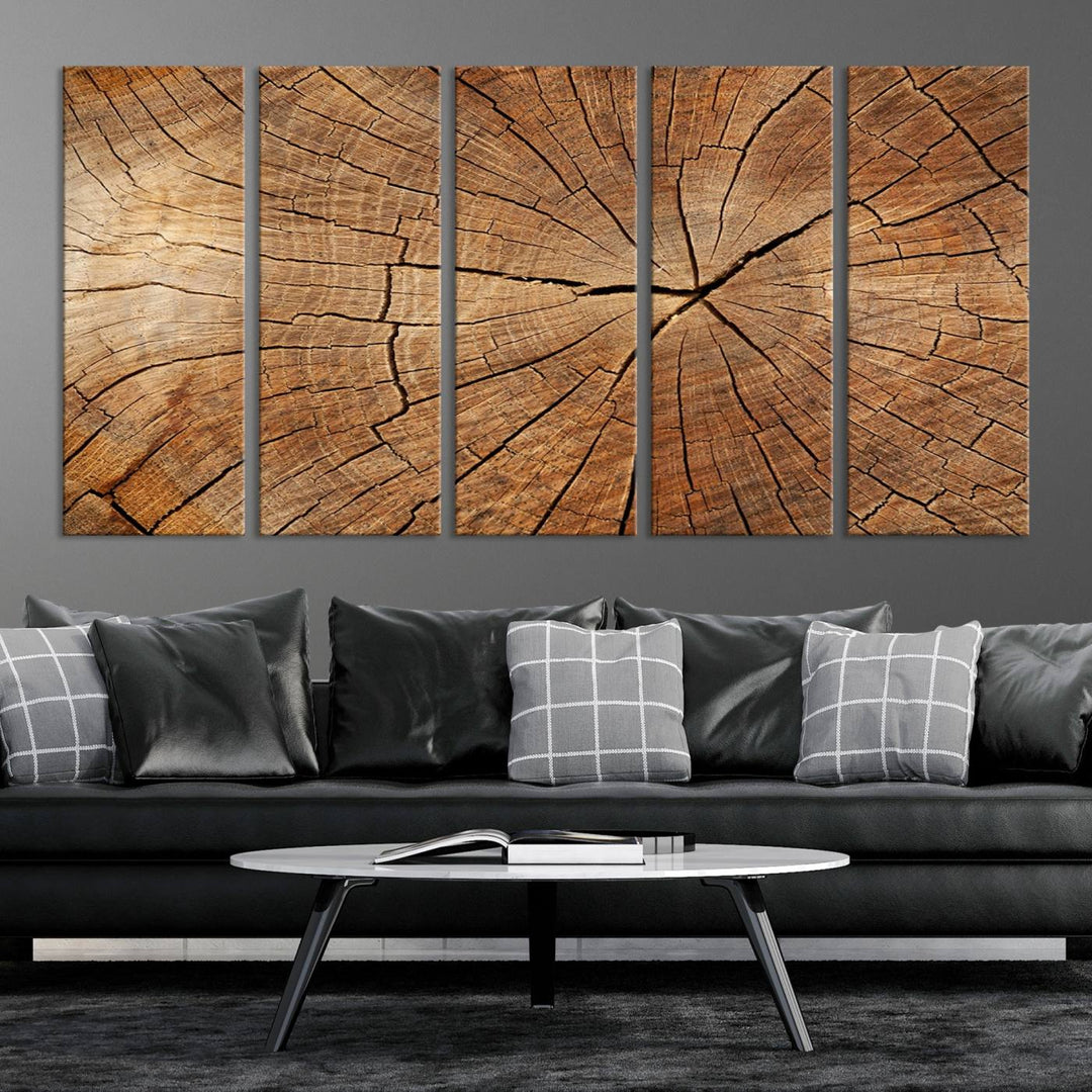 The stunning multi-panel wall art piece, the Tree Ring Canvas Art, features intricate rustic wood grain textures. This giclee triptych hangs elegantly on the wall.