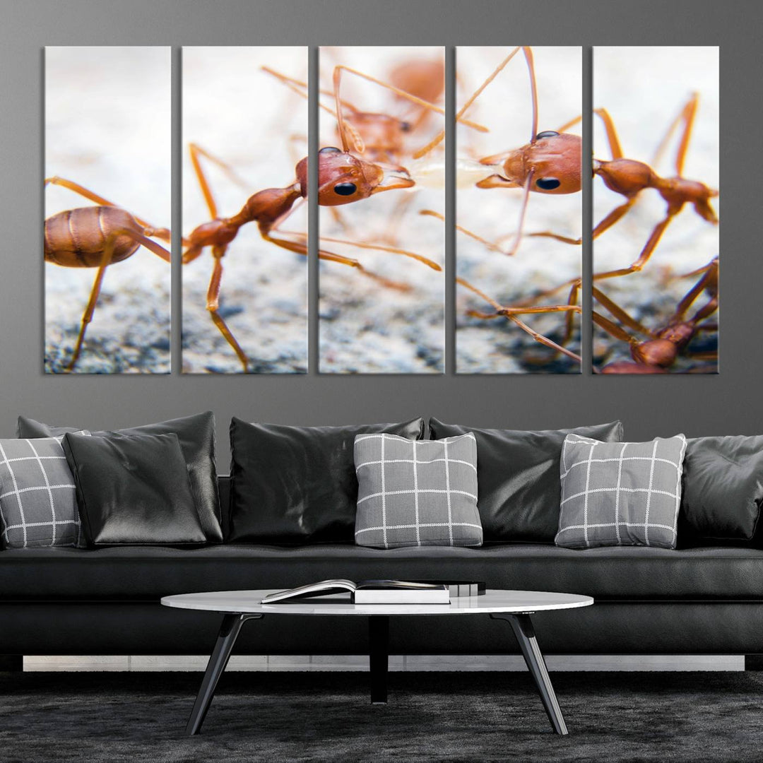 The "Ants Wall Art Canvas Print" features two ants facing each other, beautifully presented across three panels on museum-quality canvas with a UV-protective coating.