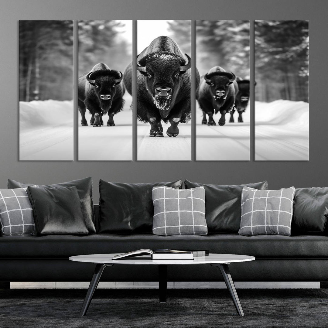 Buffalo Wall Art Canvas Print, Bison Wall Art Canvas Print