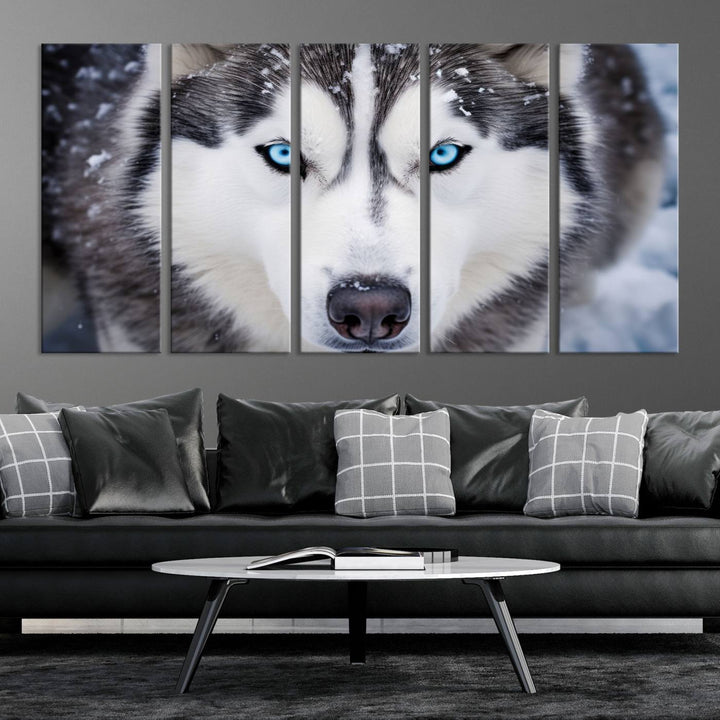 A large framed Winter Siberian Husky Wolf Wall Art Canvas Print, an exquisite piece of animal portrait decor, hangs prominently on the wall.