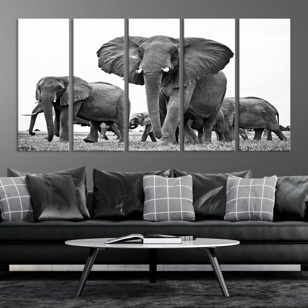 The Black White Elephant Family Wall Art Canvas Print features a triptych of elephants walking in the wild, crafted as gallery-quality wall art on premium canvas.