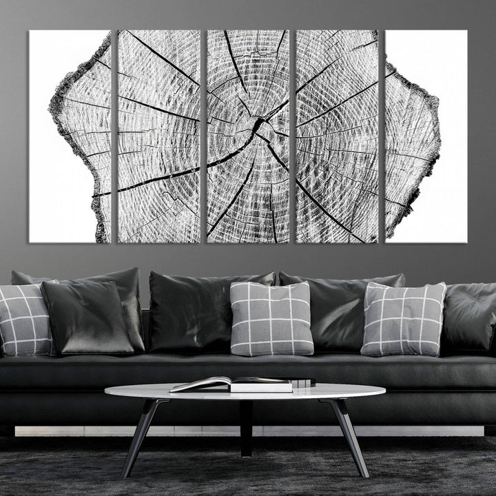 Rustic Tree Ring Wall Art Canvas Print – Framed and Ready to Hang – Perfect for Nature-Inspired and Minimalist Décor 