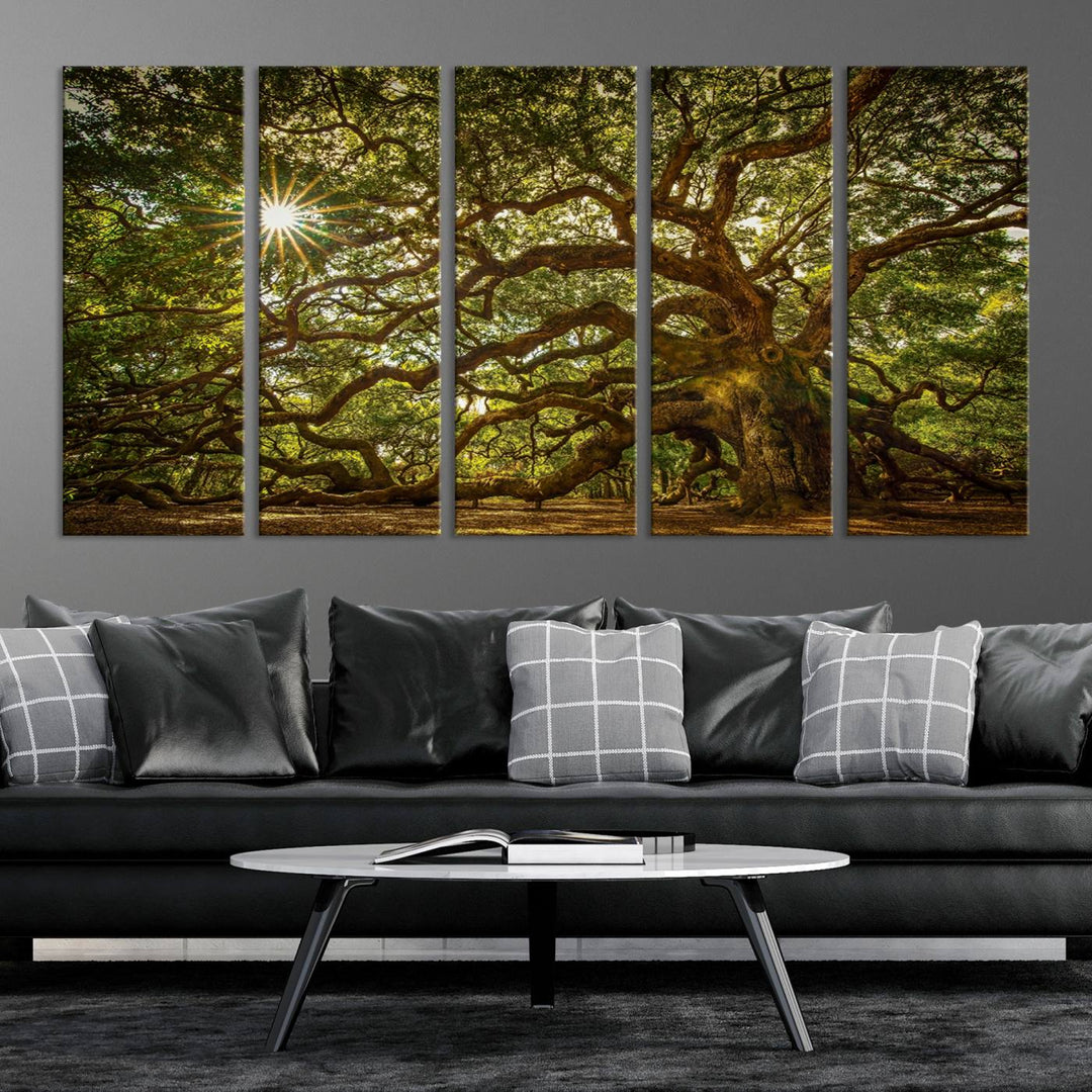 Ancient Angel Oak Tree Sunburst Wall Art - Nature-Inspired Triptych Canvas Print, Framed, Ready to Hang