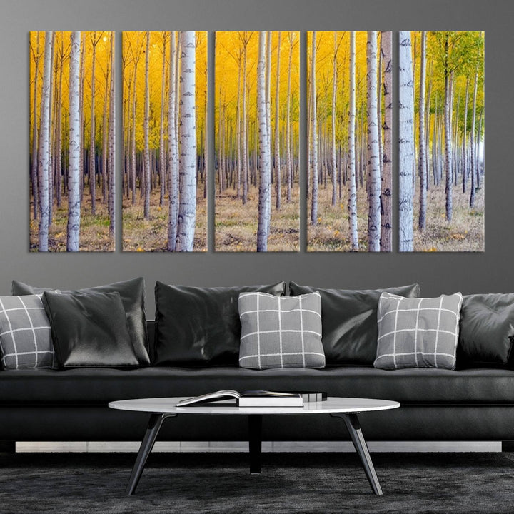 Birch Trees Forest in Autumn Wall Art Print