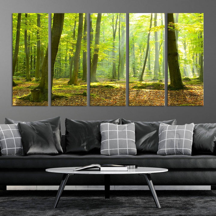 Wall Art Landscape Canvas Print Sunshine in Green Forest