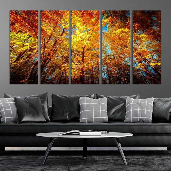 Forest View at Fall Wall Art Autumn Colors Landscape Canvas Print