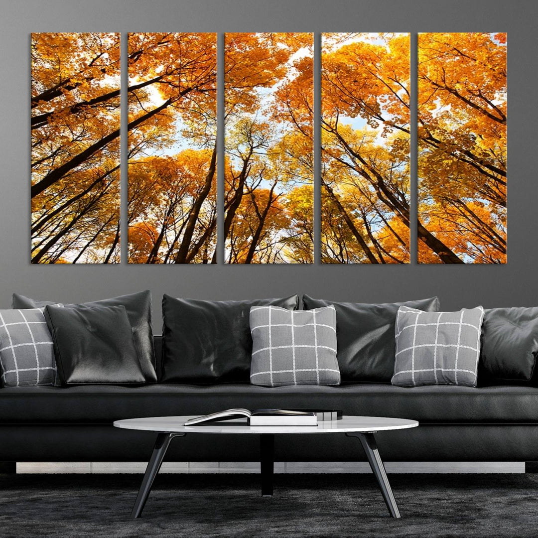 Wall Art Yellow Forest and Sky in Autumn Canvas Print