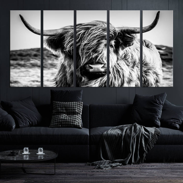 Scottish Cow Black and White Wall Canvas Art Print Farm House