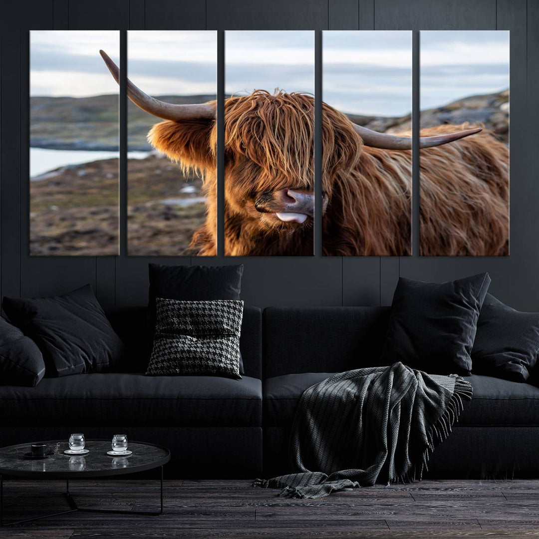 Cuddly Highland Cow Canvas Photo Wall Art Print Highlands Art Cute Animal Wall Art