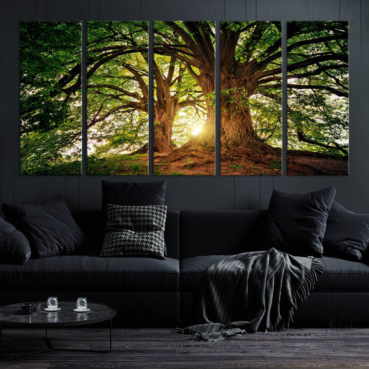 Majestic Ancient Tree Wall Art, Nature-Inspired Canvas Print, Woodland Art, Tree of Life Artwork, Sunlit Forest, Giclee Nature Print