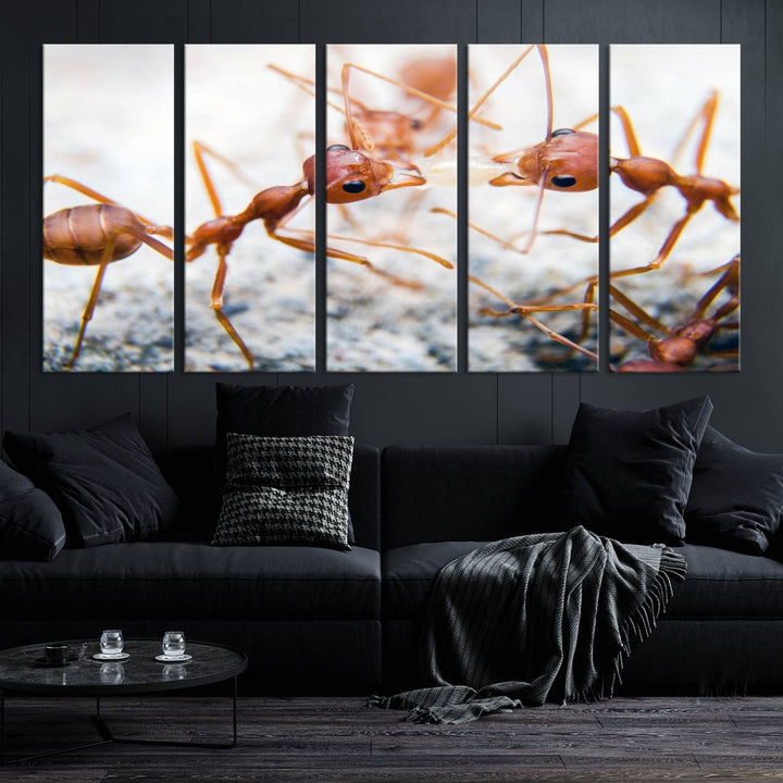 The "Ants Wall Art Canvas Print" features two ants facing each other, beautifully presented across three panels on museum-quality canvas with a UV-protective coating.