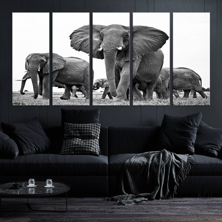 The Black White Elephant Family Wall Art Canvas Print features a triptych of elephants walking in the wild, crafted as gallery-quality wall art on premium canvas.