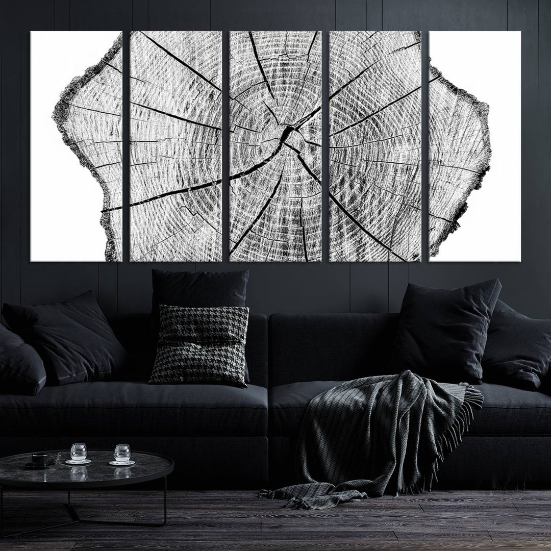 Rustic Tree Ring Wall Art Canvas Print – Framed and Ready to Hang – Perfect for Nature-Inspired and Minimalist Décor 