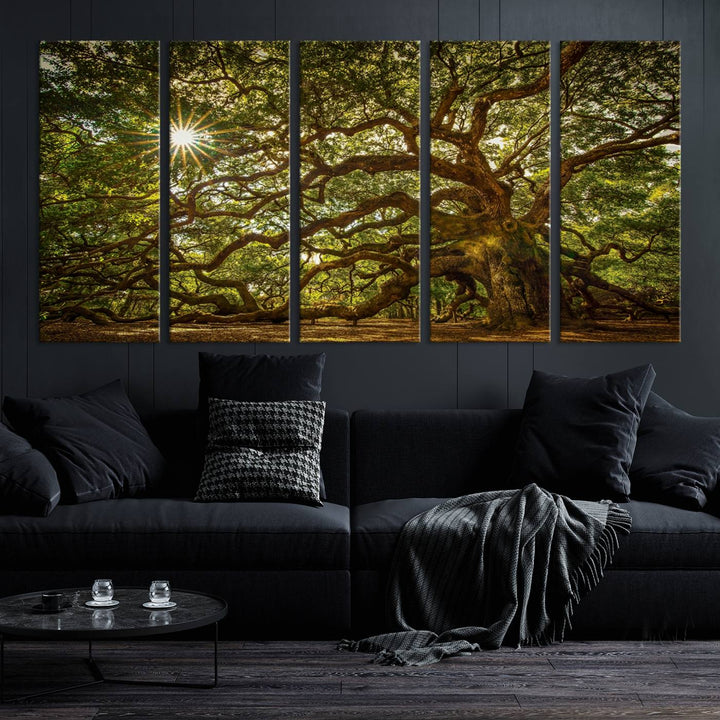 Ancient Angel Oak Tree Sunburst Wall Art - Nature-Inspired Triptych Canvas Print, Framed, Ready to Hang