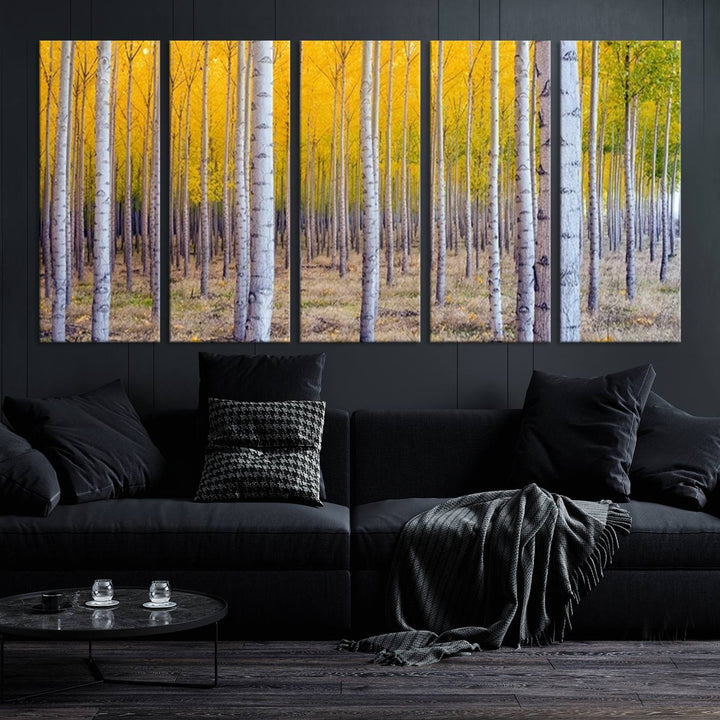 Birch Trees Forest in Autumn Wall Art Print