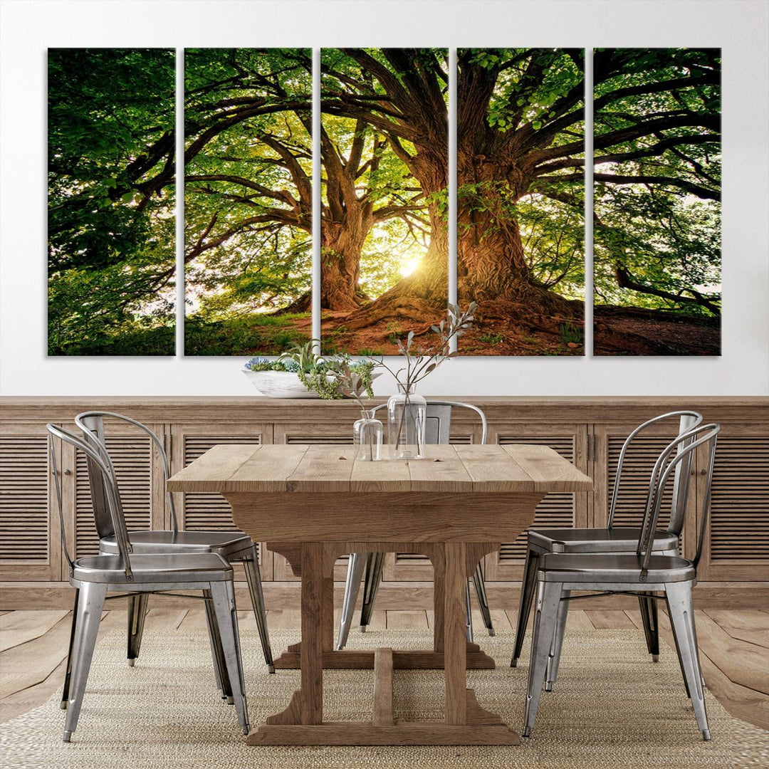 Majestic Ancient Tree Wall Art, Nature-Inspired Canvas Print, Woodland Art, Tree of Life Artwork, Sunlit Forest, Giclee Nature Print