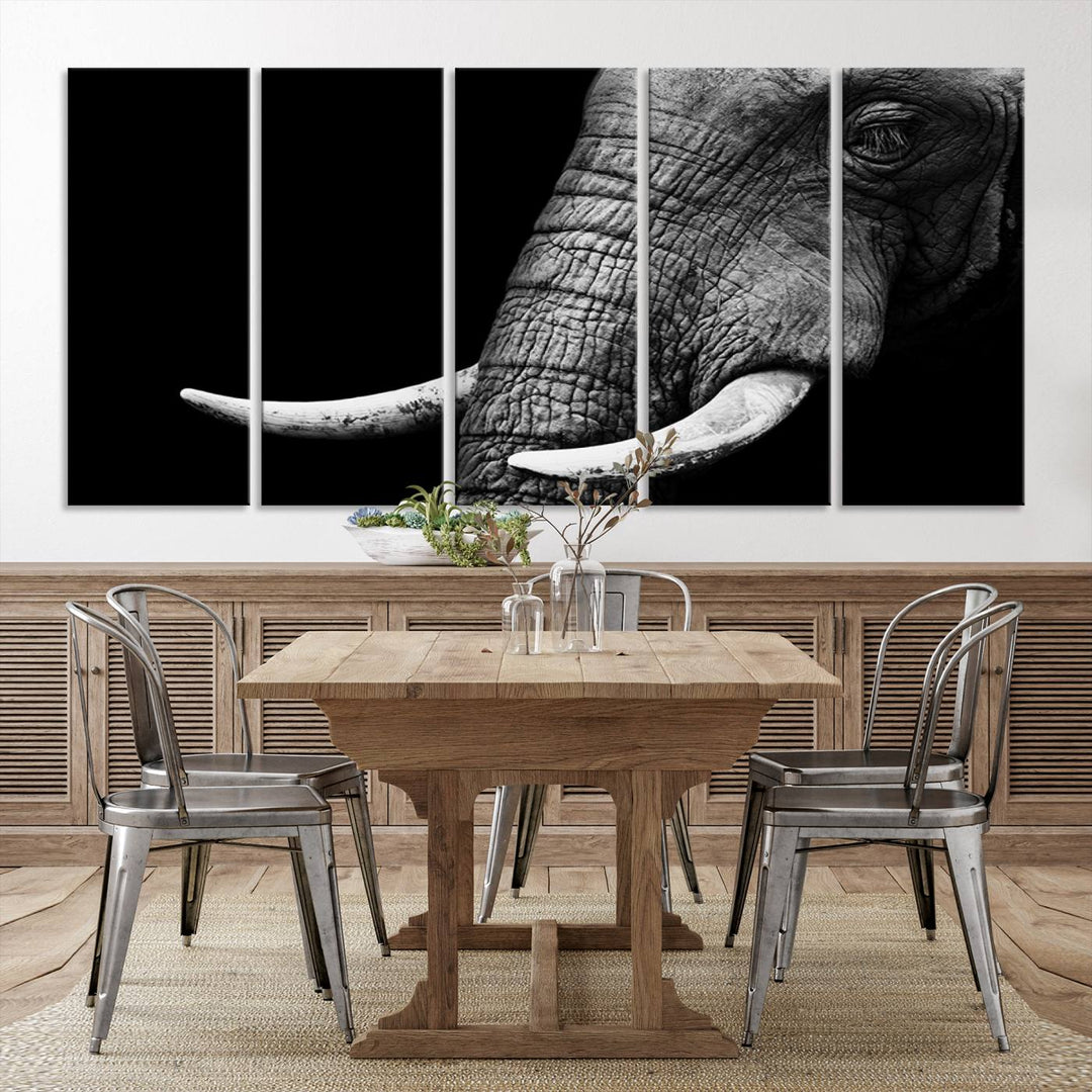 Wall Art Animal Canvas Print Close Taken Elephant with Big Ivories