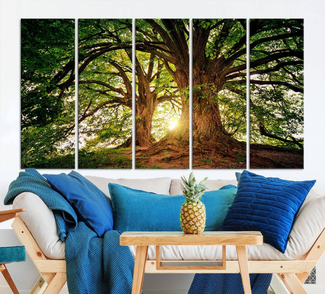 Grands vieux arbres et soleil Wall Art Impression sur toile