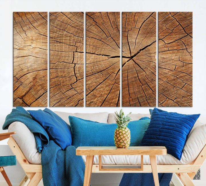 The stunning multi-panel wall art piece, the Tree Ring Canvas Art, features intricate rustic wood grain textures. This giclee triptych hangs elegantly on the wall.