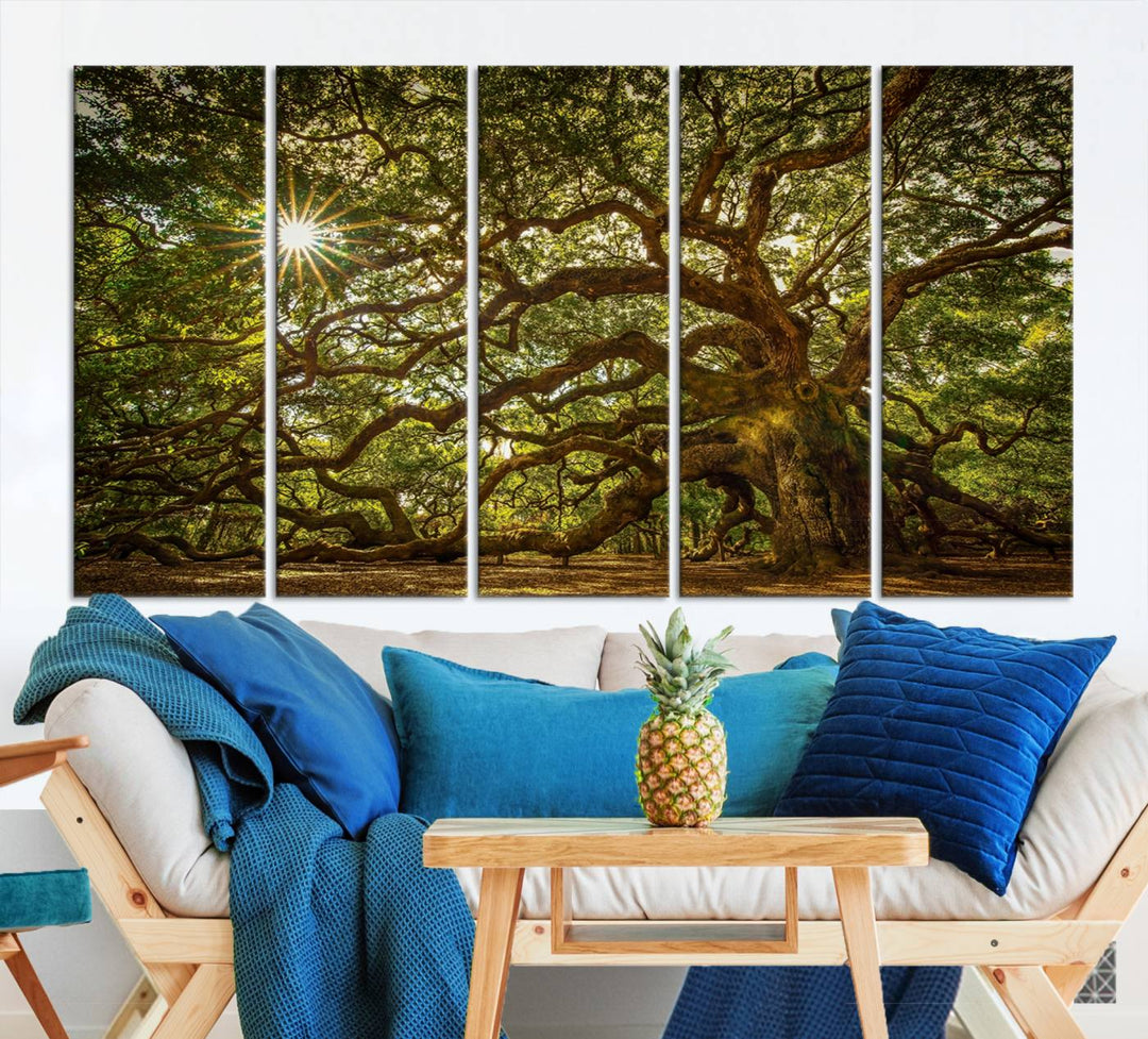 Ancient Angel Oak Tree Sunburst Wall Art - Nature-Inspired Triptych Canvas Print, Framed, Ready to Hang