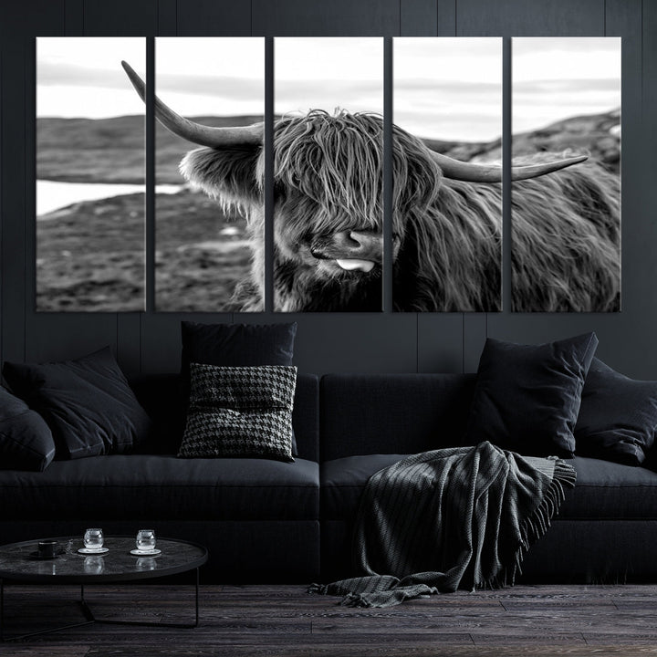 Scottish Highland Cow Cattle Art Print Farmhouse Wall Art Canvas Print