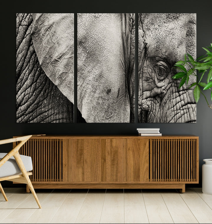 A modern living room features a large Elephant Wall Art Canvas Print in black and white, crafted on museum-quality canvases with UV-protective coating to maintain its elegance.