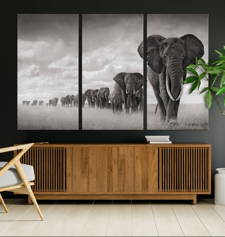 The Elephant Wall Art Canvas Print features a triptych of elephants in a savanna, elegantly displayed.