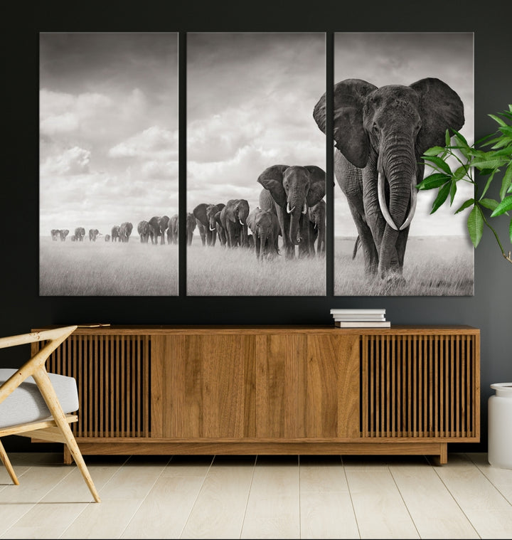 The "Herd of Elephants Wall Art Canvas Print" features an elegant black and white triptych of elephants walking in a line, beautifully displayed on museum-quality canvas with a UV-protective coating. This artwork arrives ready to hang and adds sophistication to any space.