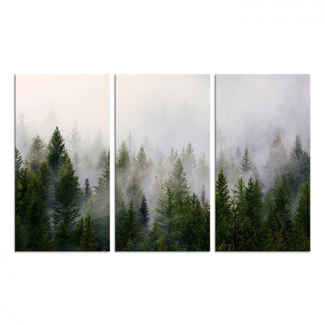 A serene, foggy evergreen forest creates a mysterious atmosphere, ideal for premium canvas wall art.