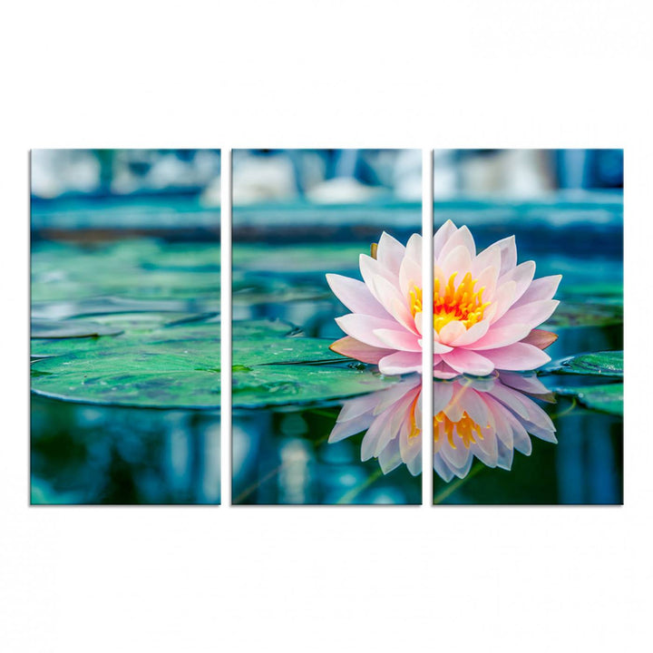 The Lotus Flower Canvas Print showcases a pink water lily with a yellow center gracefully floating on a calm pond.