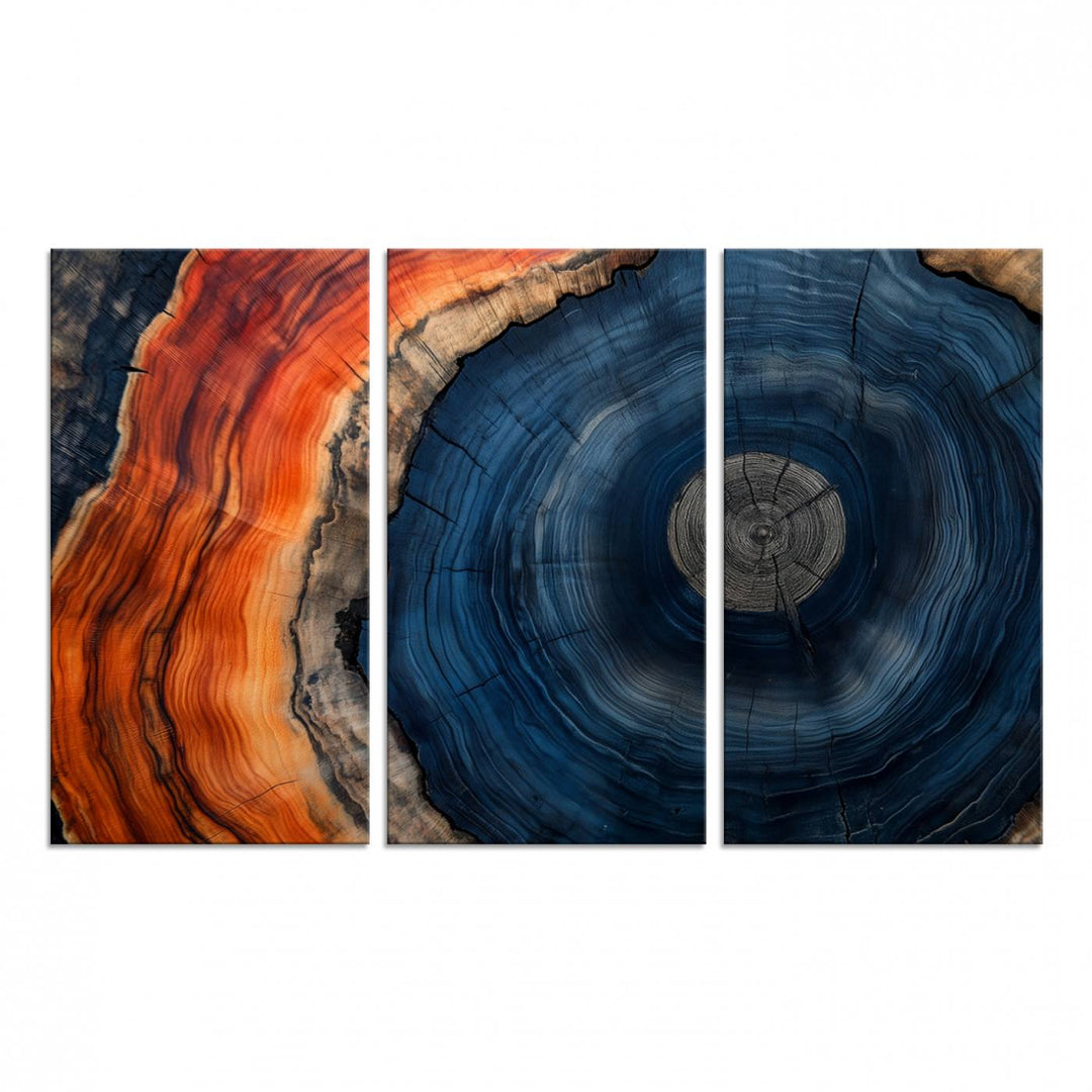 Abstract Tree Ring Wall Art Print on canvas featuring vibrant blue, orange, and brown rings with a natural rustic wood texture. Free shipping available!.