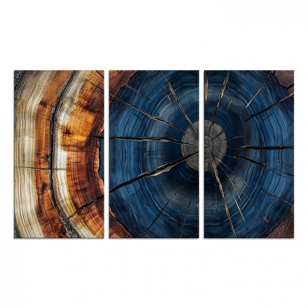 The Abstract Tree Rings Canvas Print features blue, brown, and orange rings that highlight wood grain and natures beauty.