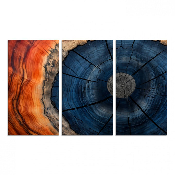 Abstract Tree Rings Canvas Print with vibrant colors—ideal farmhouse wall art for a woodland-themed home.