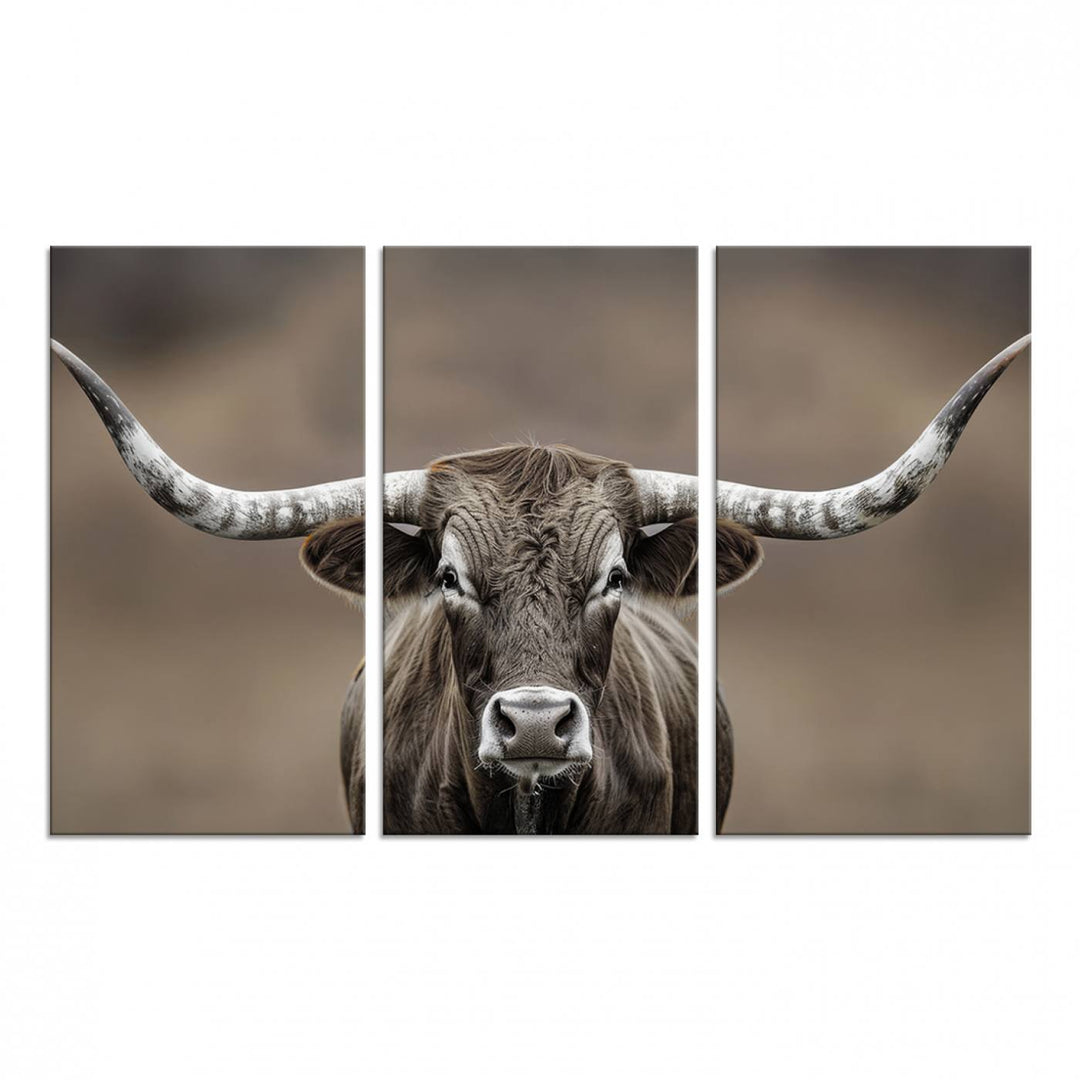 A close-up of a longhorn bull facing forward is featured in the Framed Texas Test-1, set against a blurred brown background.