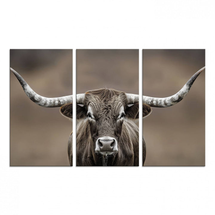 A close-up of a longhorn bull facing forward is featured in the Framed Texas Test-1, set against a blurred brown background.