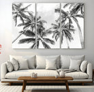 Edit-Images-Black and White Palm Tree Wall Art – Monochrome Tropical Canvas Print for Coastal or Minimalist Living Room Decor