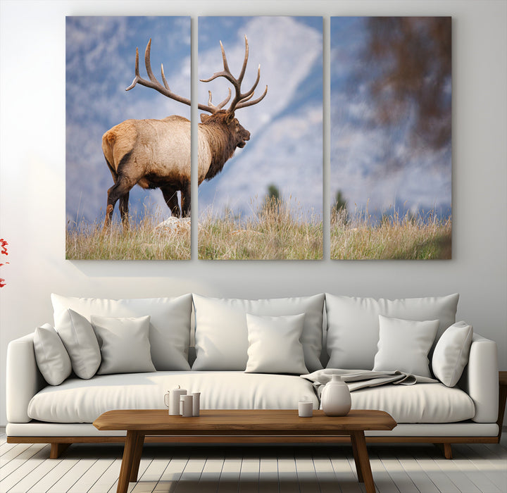 Rustic Elk Wall Art Canvas Print, Wildlife Antler Print, Framed Western Hunting Lodge Art Print