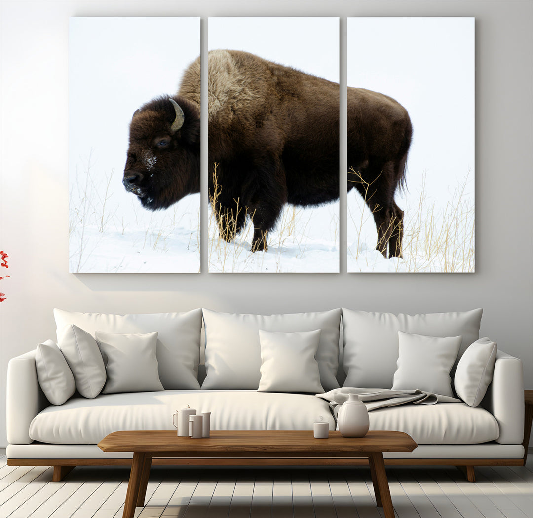 Bison Photography Wall Art Canvas Print, Framed Western Wildlife Art Picture Print, Buffalo On Snow Perfect Western Decor Artwork