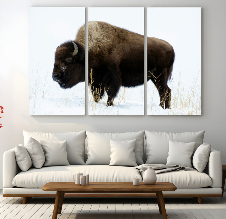 Bison Photography Wall Art Canvas Print, Framed Western Wildlife Art Picture Print, Buffalo On Snow Perfect Western Decor Artwork