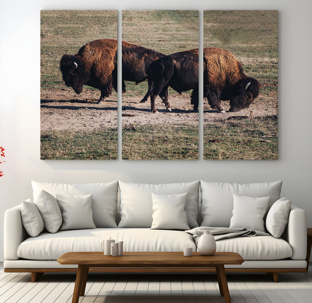 Bison Photography Wall Art Canvas Print, Framed Western Wildlife Art Picture Print, Modern Ranch Perfect Western Rustic Decor Artwork