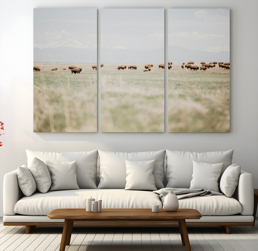 Bison Herd Wall Art Canvas Print, Framed Western Art Picture Print, Bison Perfect Ranch Decor Artwork