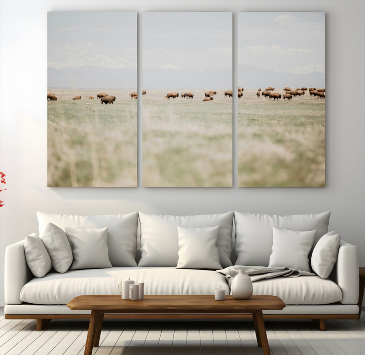 Bison Herd Wall Art Canvas Print, Framed Western Art Picture Print, Bison Perfect Ranch Decor Artwork