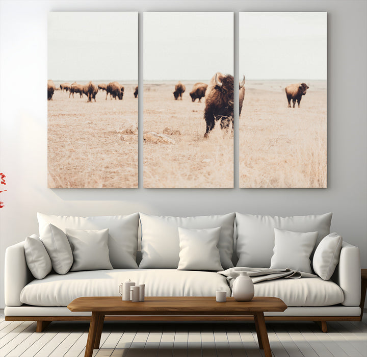Bison Herd Wall Art Canvas Print, Framed Western Art Picture Print, Prairie Serenity Perfect Ranch Decor Artwork