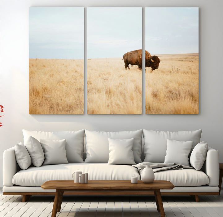 A lone bison standing in a vast golden grassland under a soft blue sky, evoking a rustic and Western aesthetic, ideal for farmhouse decor.